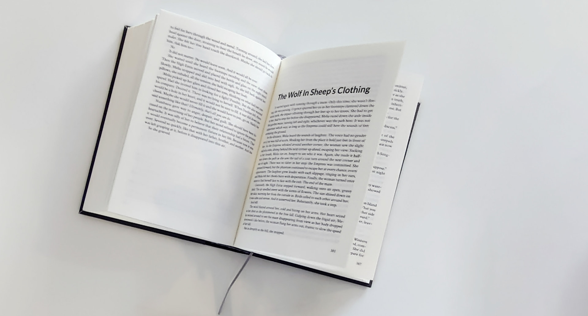 The book at the end of the chapter, and starting a new one.