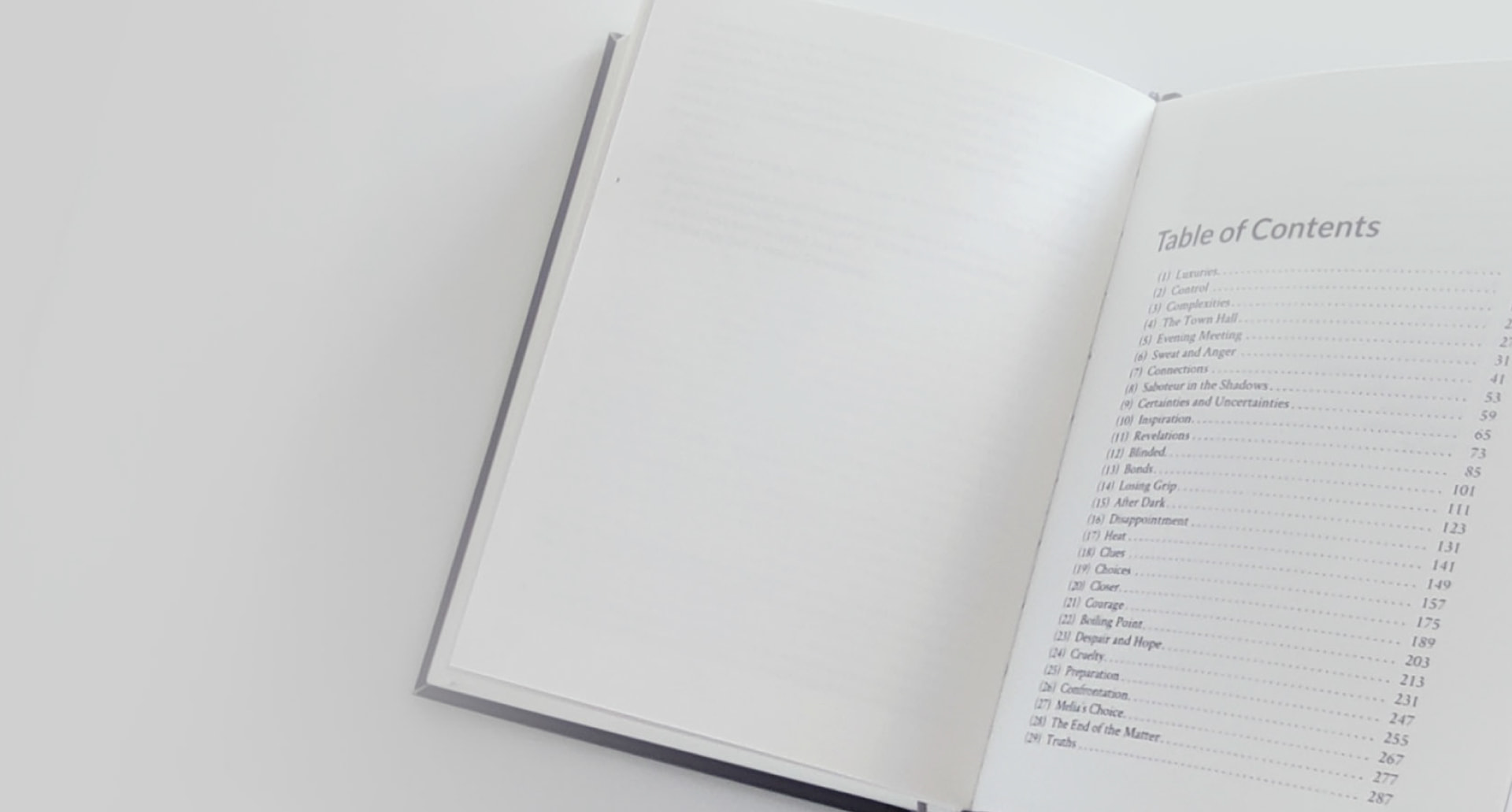 A shot of the book's table of contents.