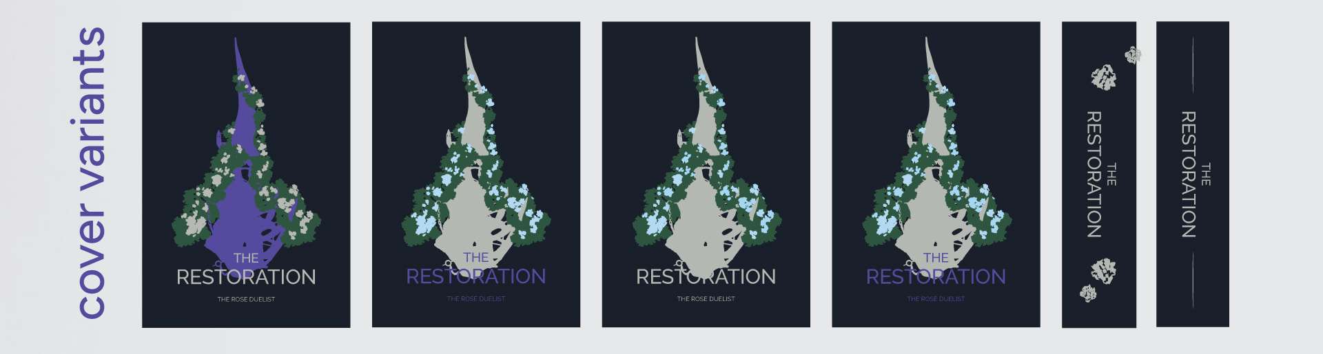 A graphic of the cover concepts.