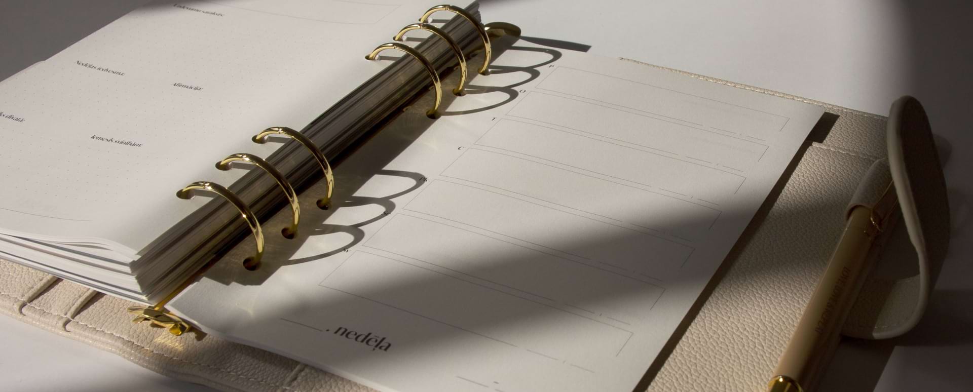 A diary spread in the wedding planner.